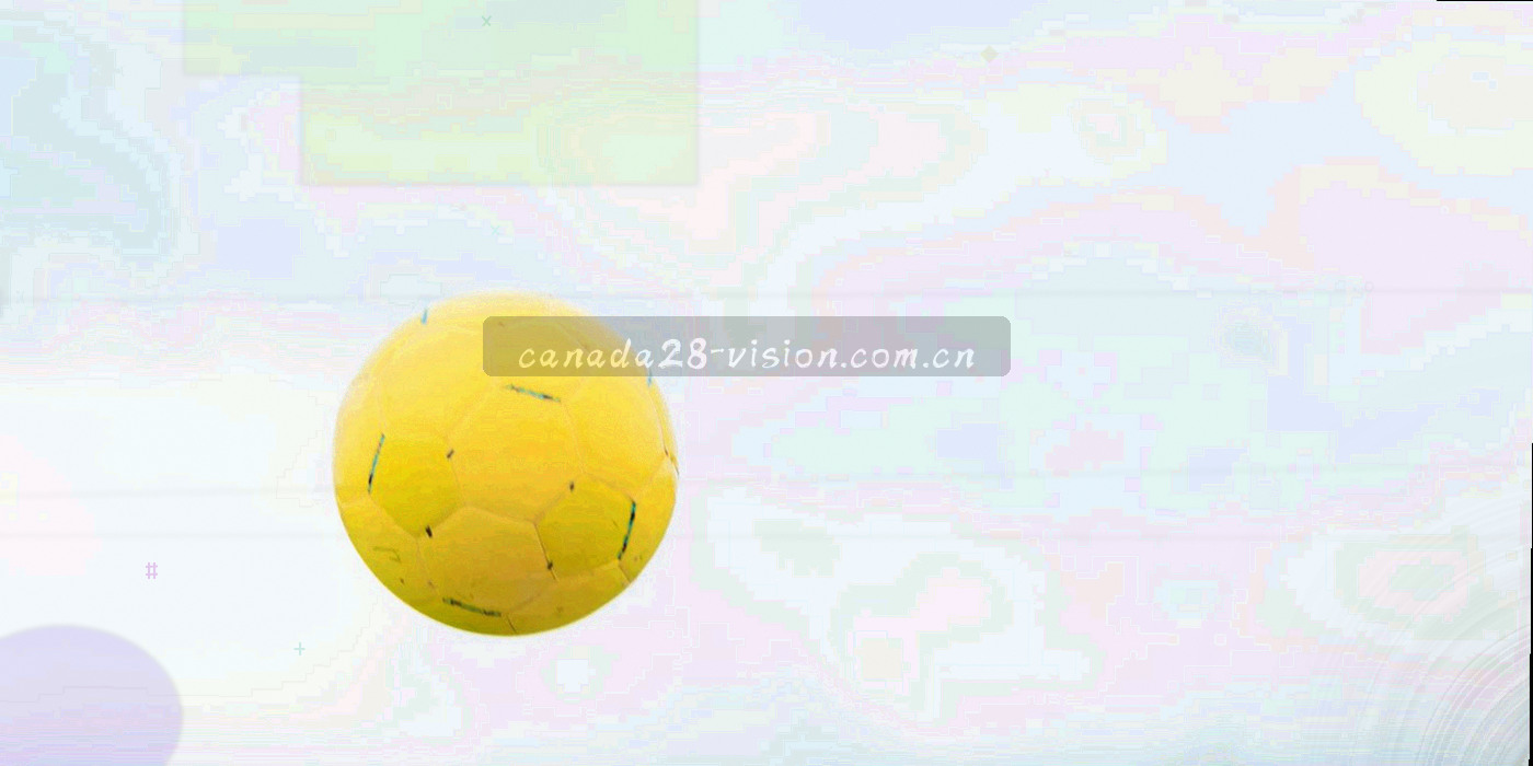 四种数据展示形态并排的抽象示意图，分别是列表、卡片、时间轴与仪表盘